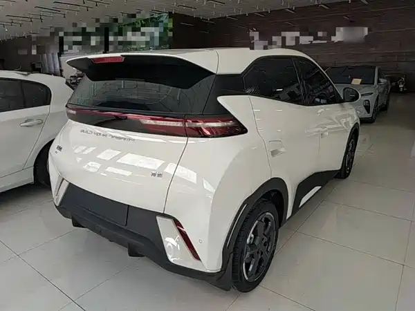BYD Seagull 2024