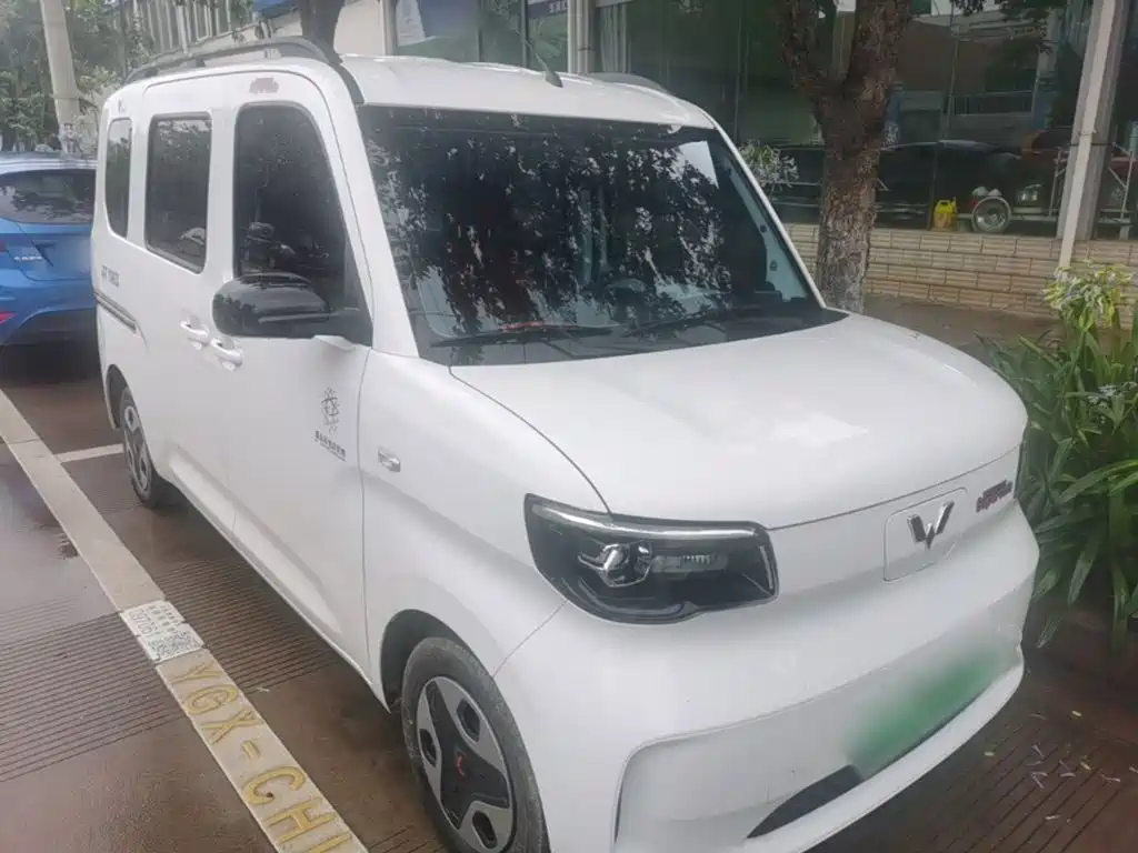 Wuling Zhiguang New Energy 2025