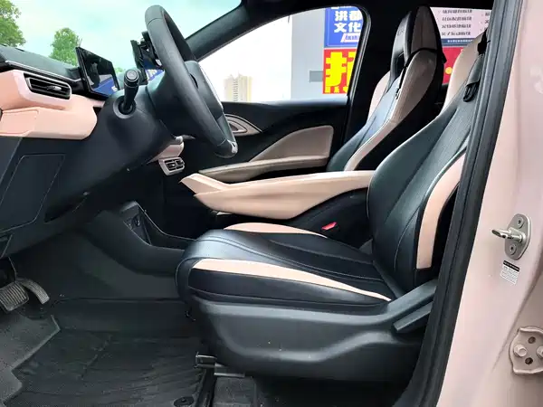 BYD Seagull 2024