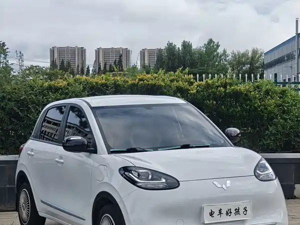 Wuling Bingo 2024