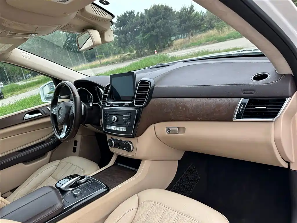 Mercedes-Benz GLS 2018 — фото 16