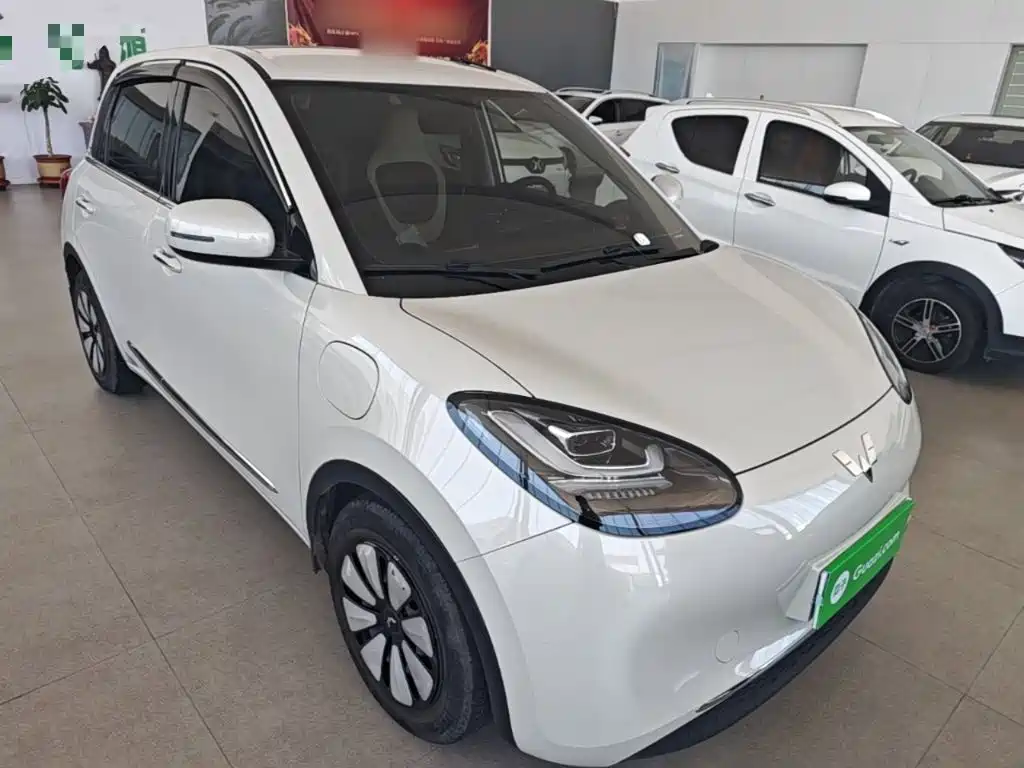 Wuling Bingo 2024