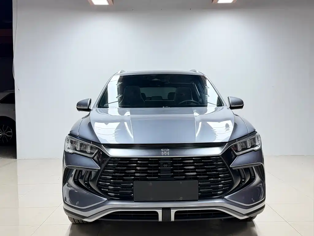 BYD Pro New Energy 2023 — фото 2
