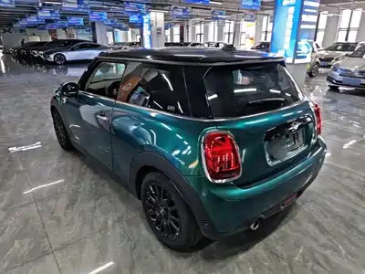 MINI MINI 2020