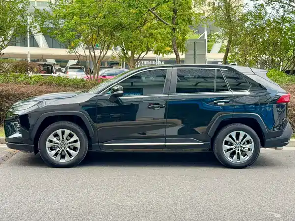 Toyota Wildlander 2021