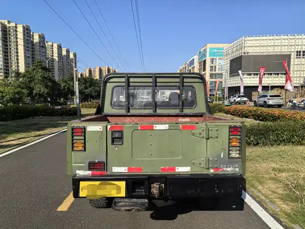 BAW Warrior Pickup 2018
