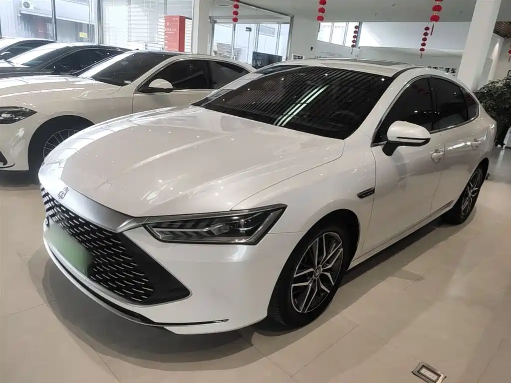 BYD Qin PLUS 2021 — фото 1