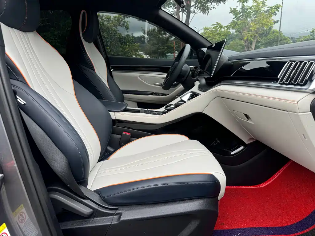 BYD Song PLUS New Energy 2023 — фото 12