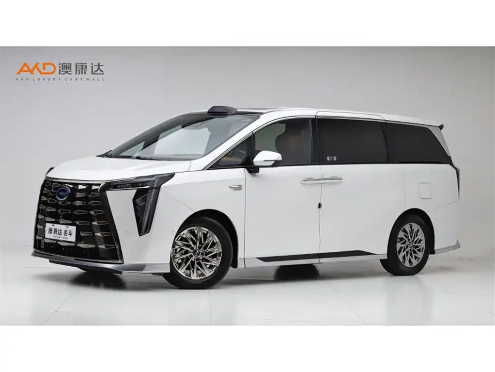 GAC Motor Xiangwang M8 2025 — фото 1
