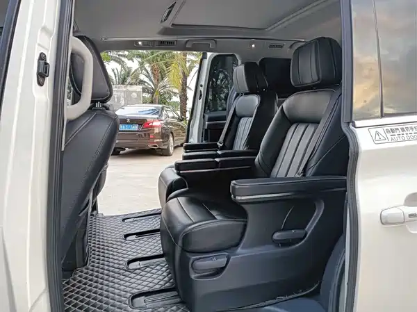 GAC Trumpchi M8 2020
