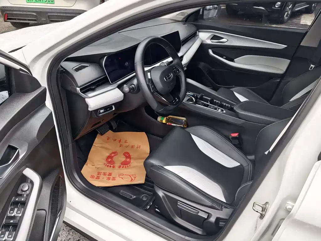 Geely Binrui 2023