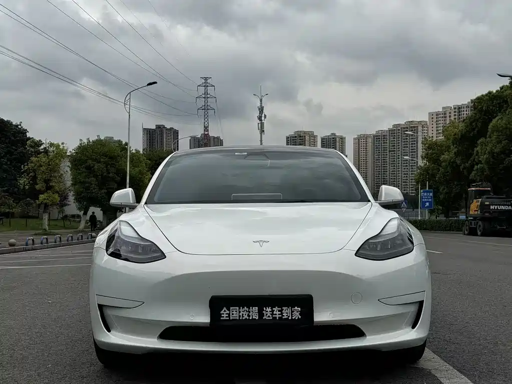 Tesla Model 3 2021 — фото 2