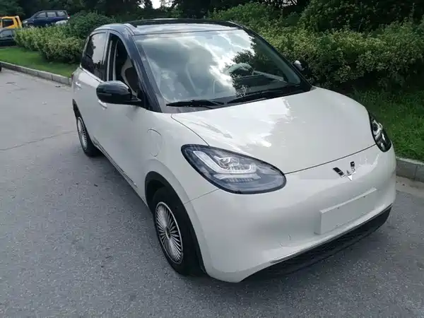 Wuling Bingo 2024