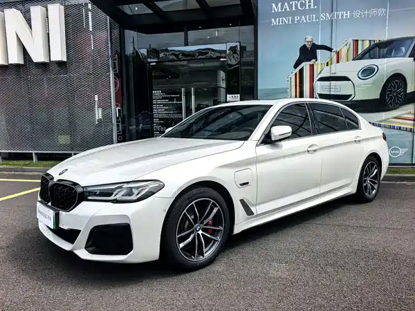 BMW 5 Series New Energy 2021