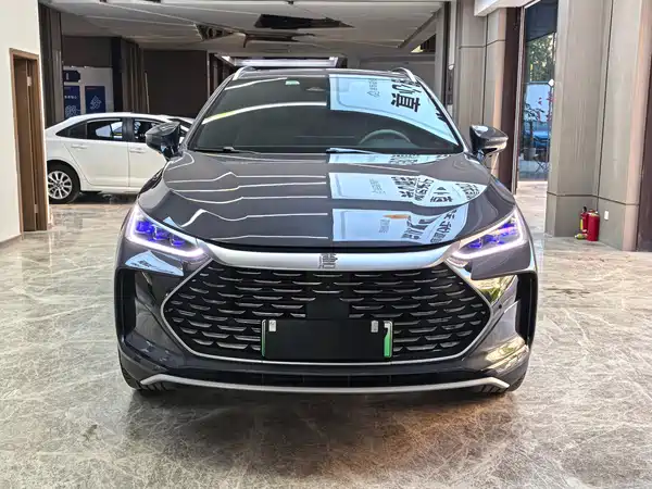 BYD Tang New Energy 2024