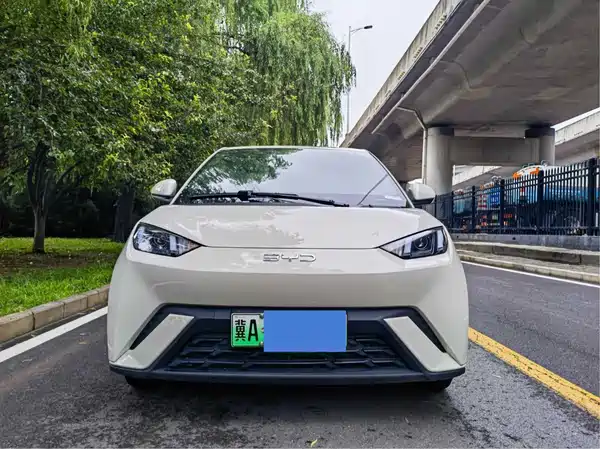 BYD Seagull 2024
