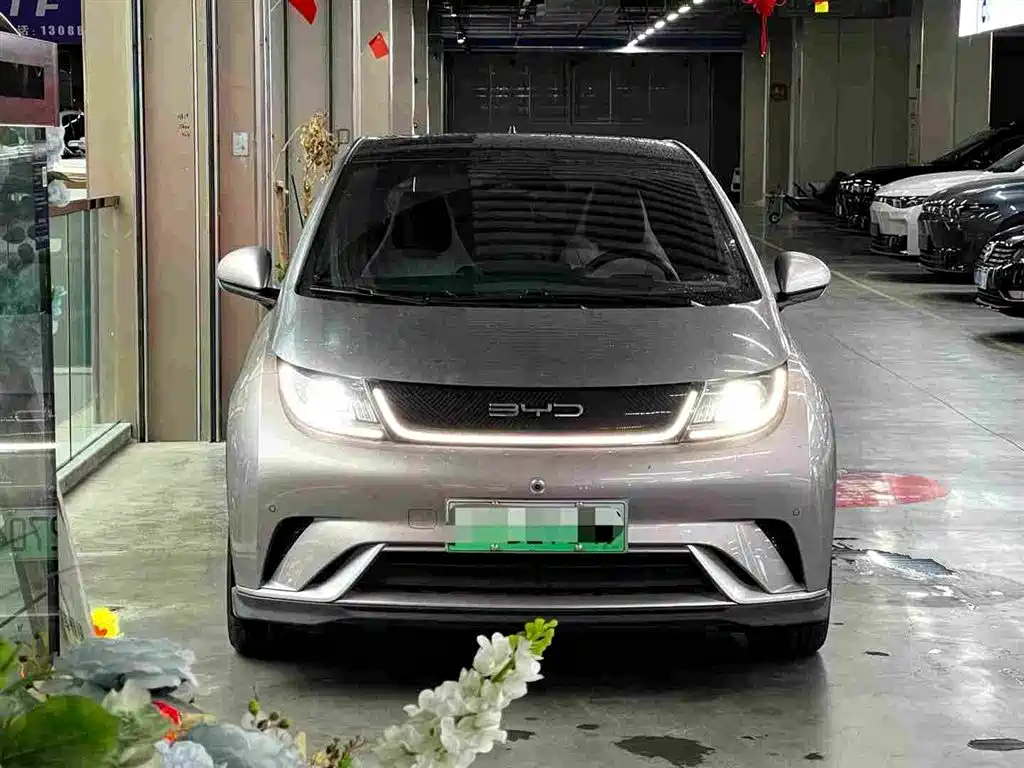 BYD Dolphin 2024