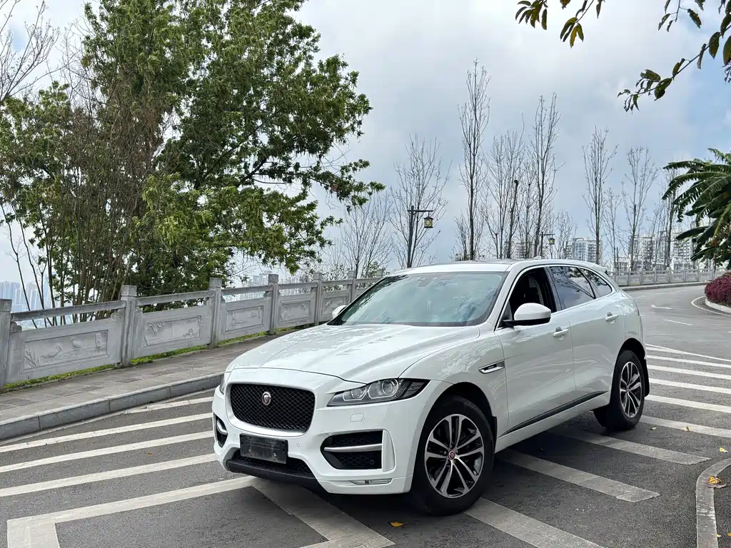 Jaguar F-PACE 2017 — фото 36