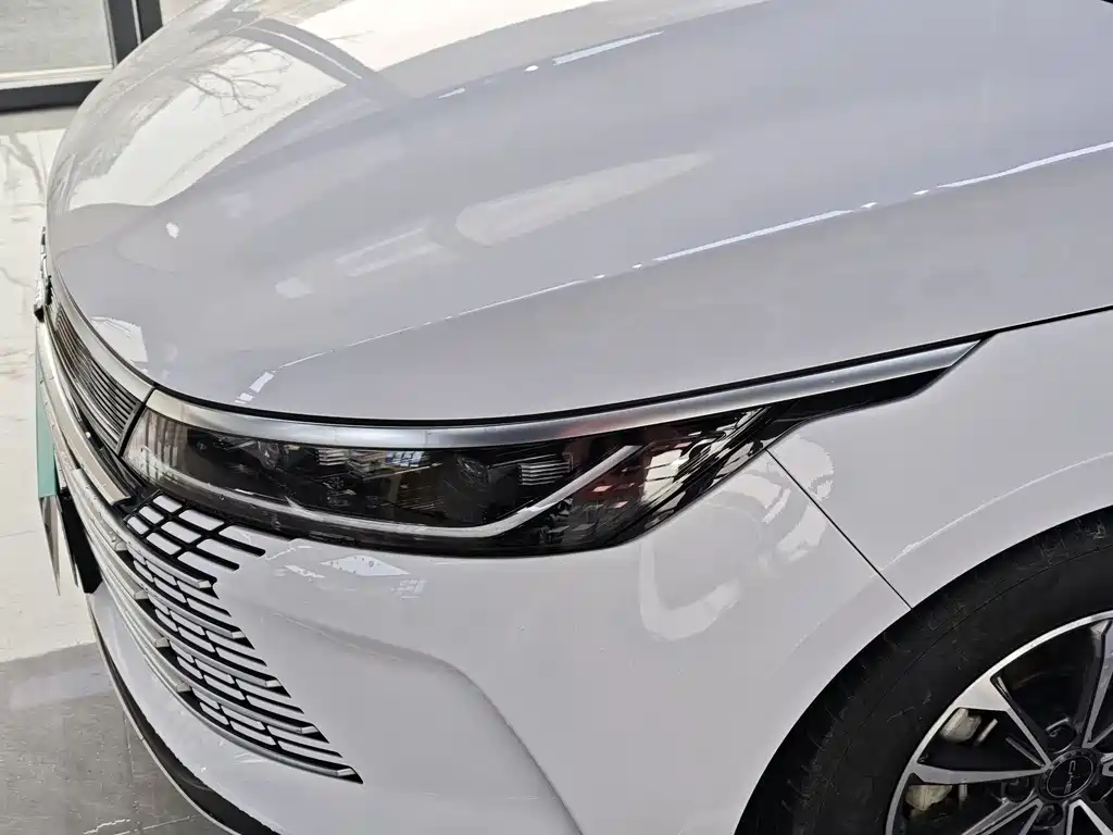 BYD Destroyer 05 2024 — фото 15