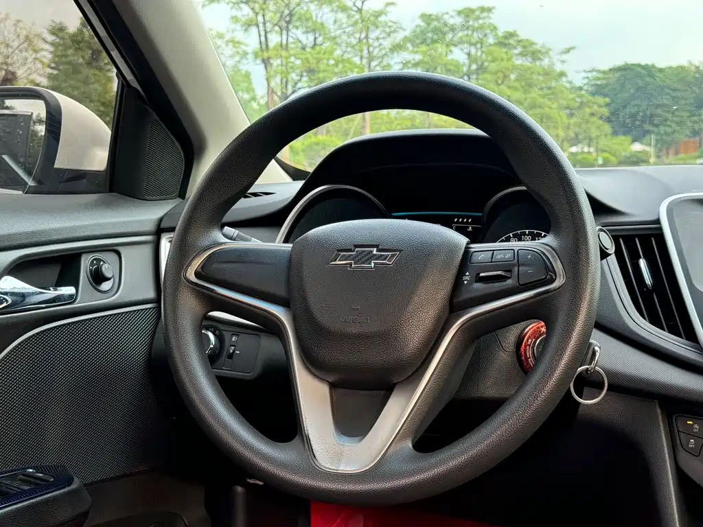 Chevrolet Cavalier 2017 — фото 11