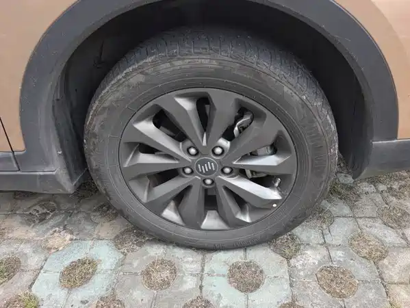 WM Motor EX5 2018