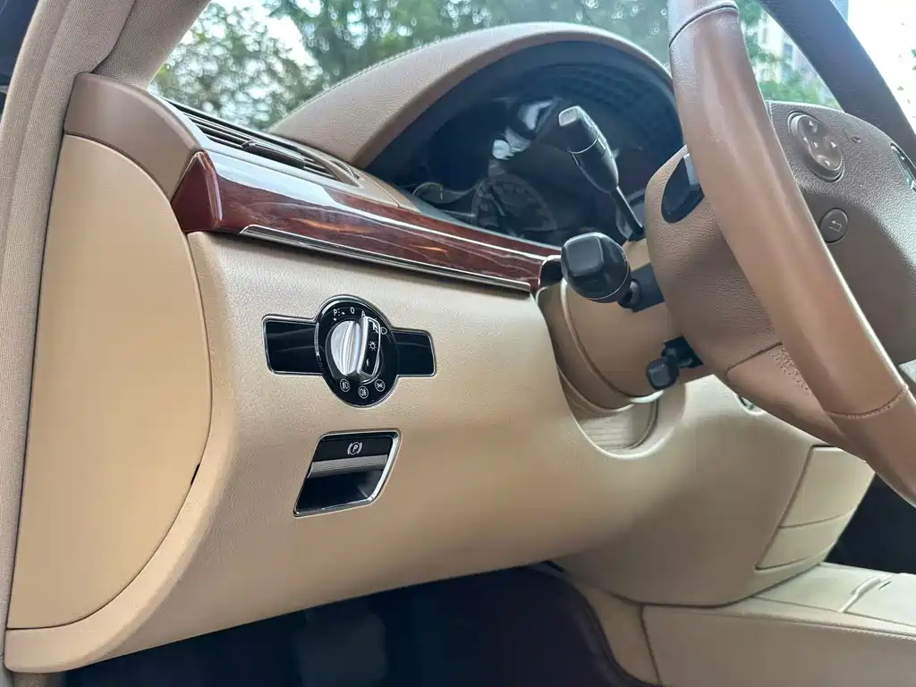 Mercedes-Benz S-Class 2008 — фото 14