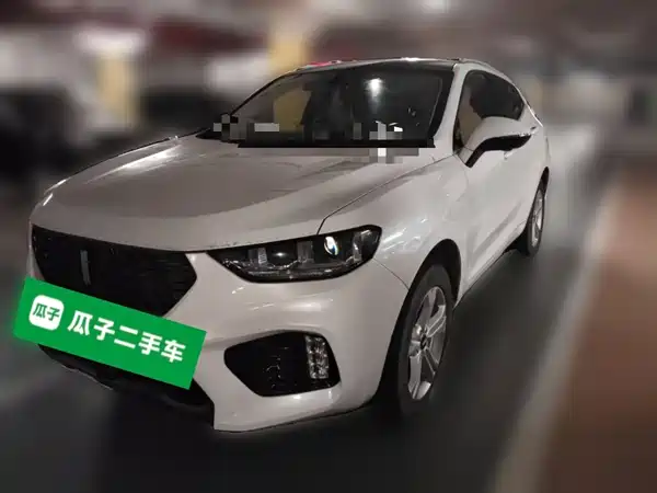 Wey VV5 2019