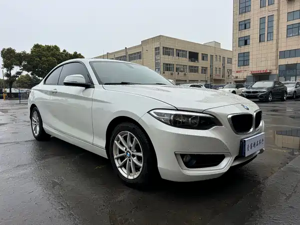 BMW 2 Series 2015