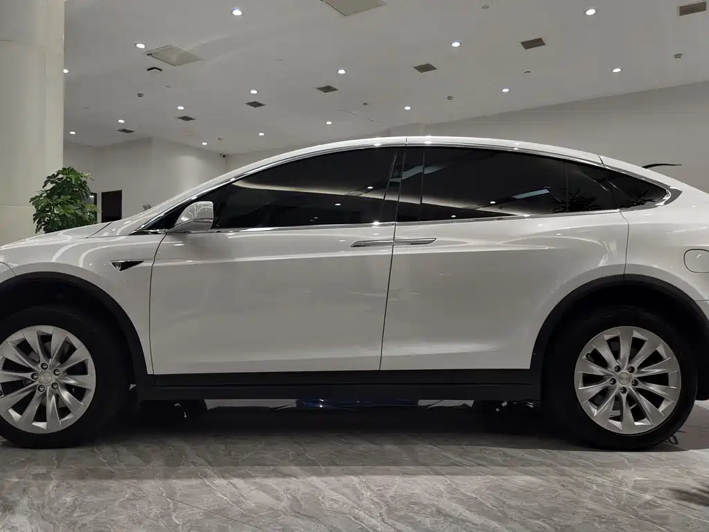 Tesla Model X 2020 — фото 2