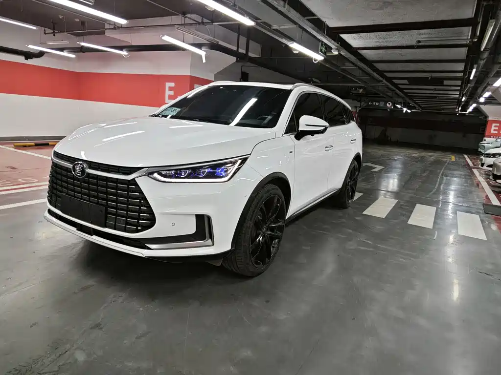 BYD Tang New Energy 2021 — фото 1