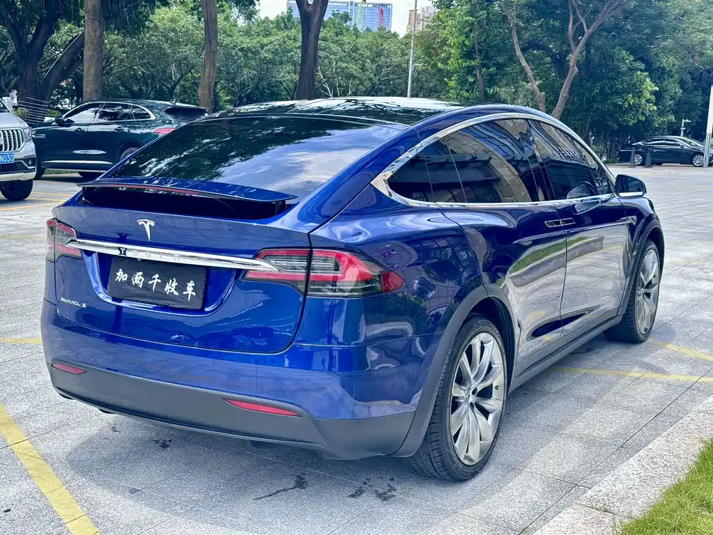 Tesla Model X 2016 — фото 9