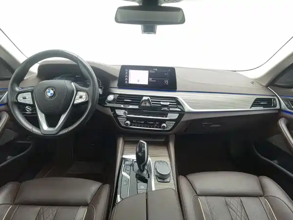 BMW 5 Series New Energy 2020
