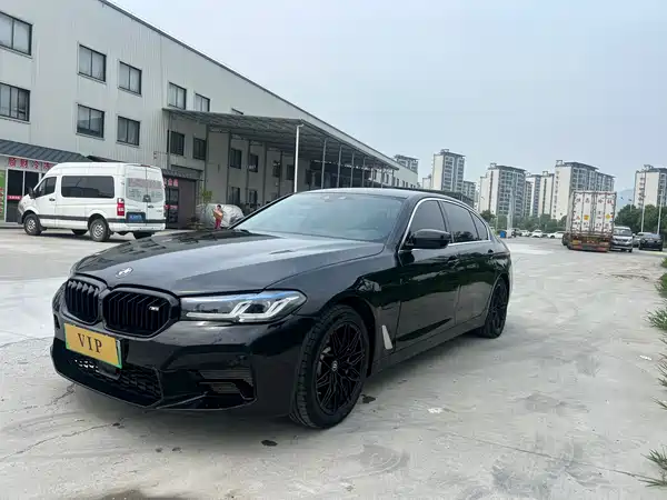 BMW 5 Series New Energy 2020