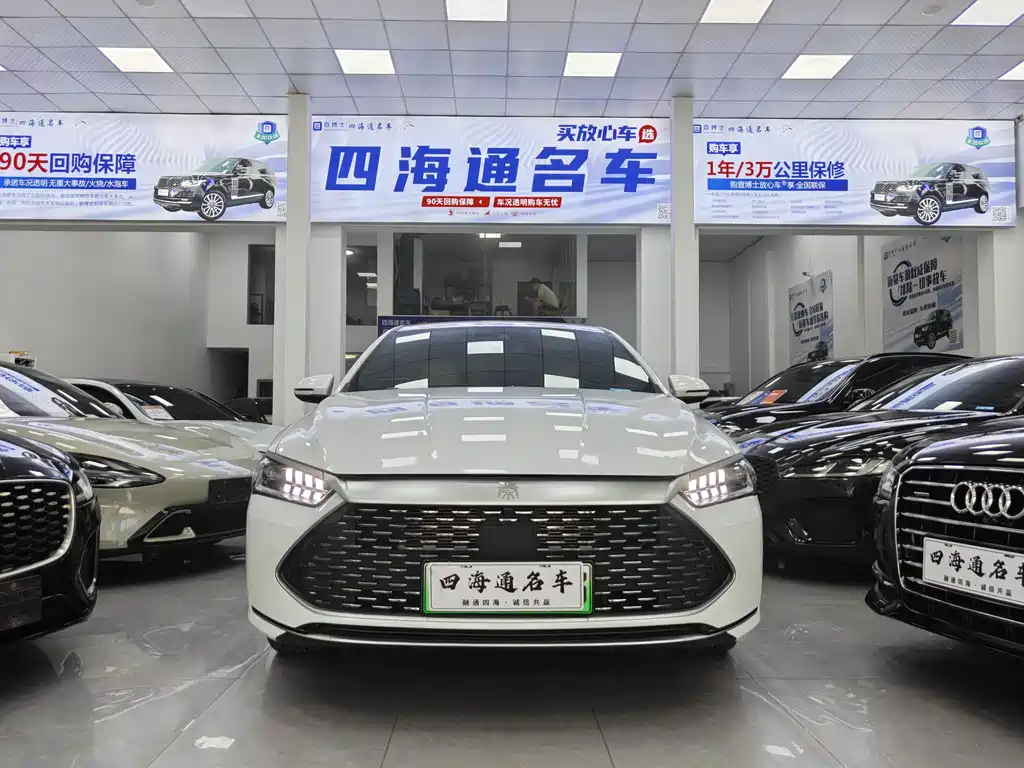 BYD Qin PLUS 2024 — фото 2