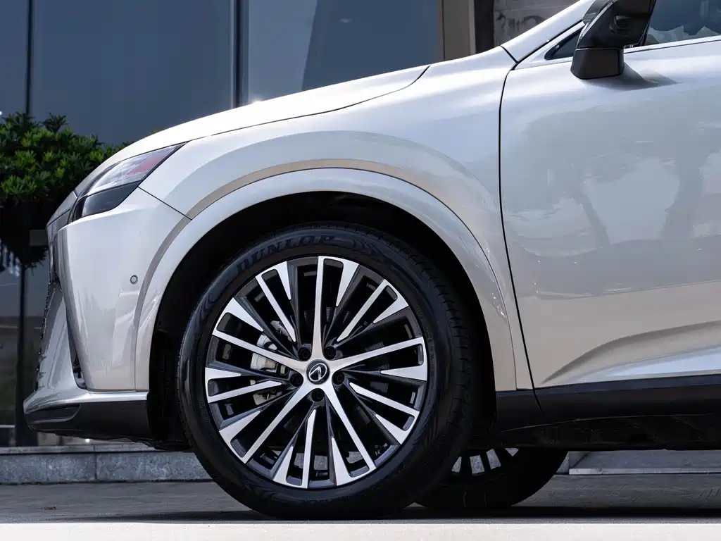 Lexus RX New Energy 2023 — фото 8