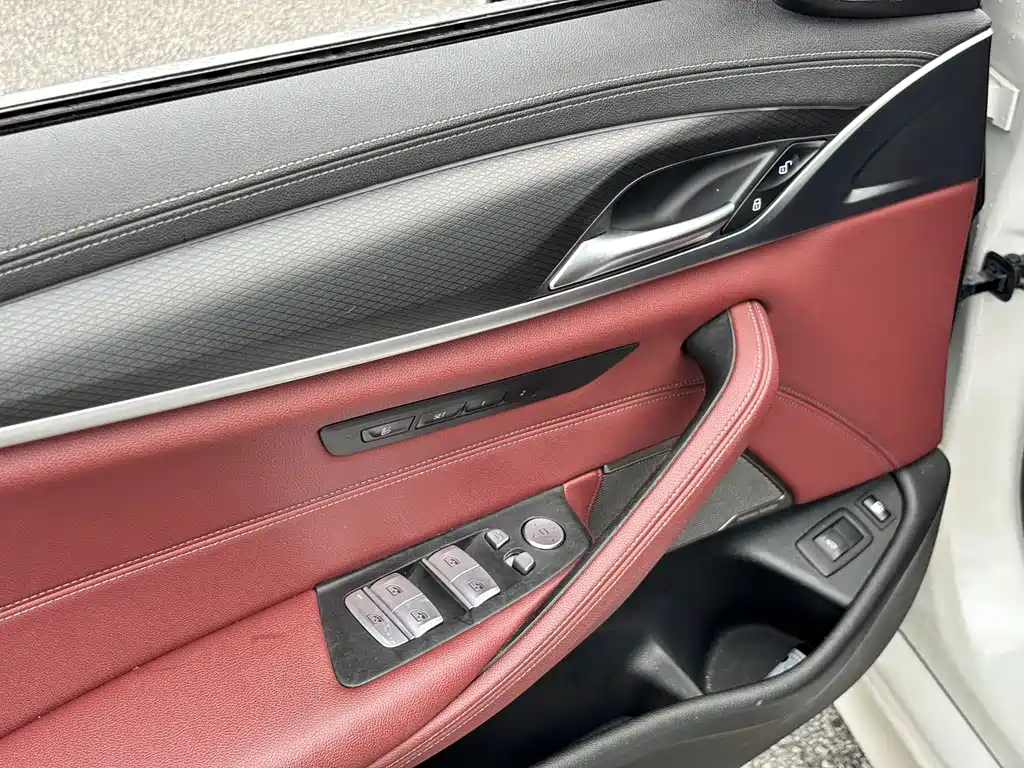 BMW 5 Series New Energy 2021