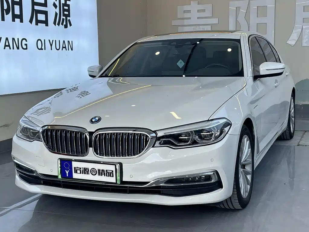 BMW 5 Series New Energy 2019