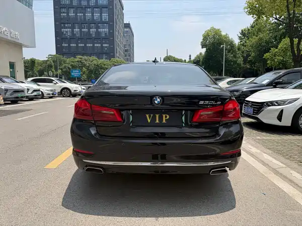 BMW 5 Series New Energy 2020