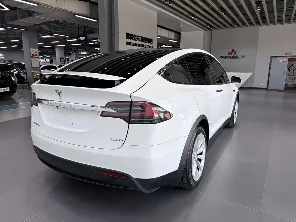 Tesla Model X 2017 — фото 9