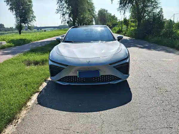 Neta S 2023