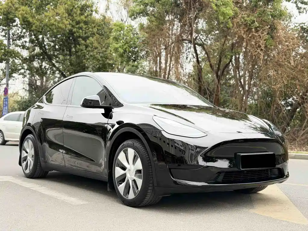Tesla Model Y 2023 — фото 3