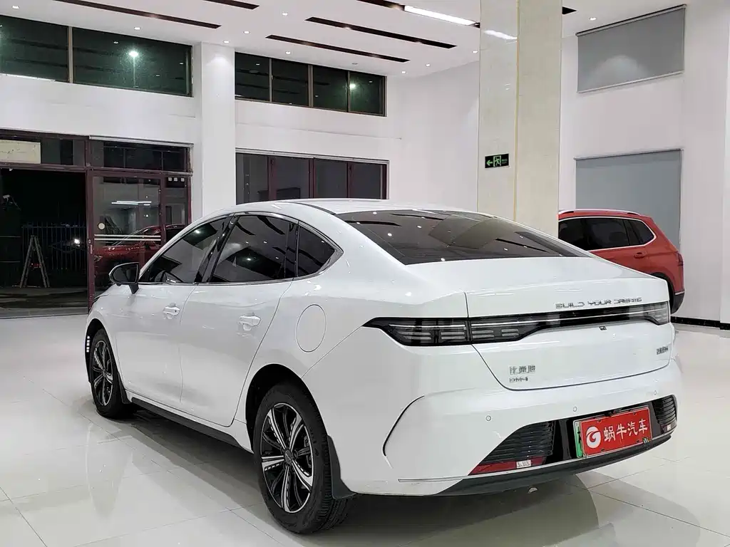 BYD Destroyer 05 2024 — фото 13
