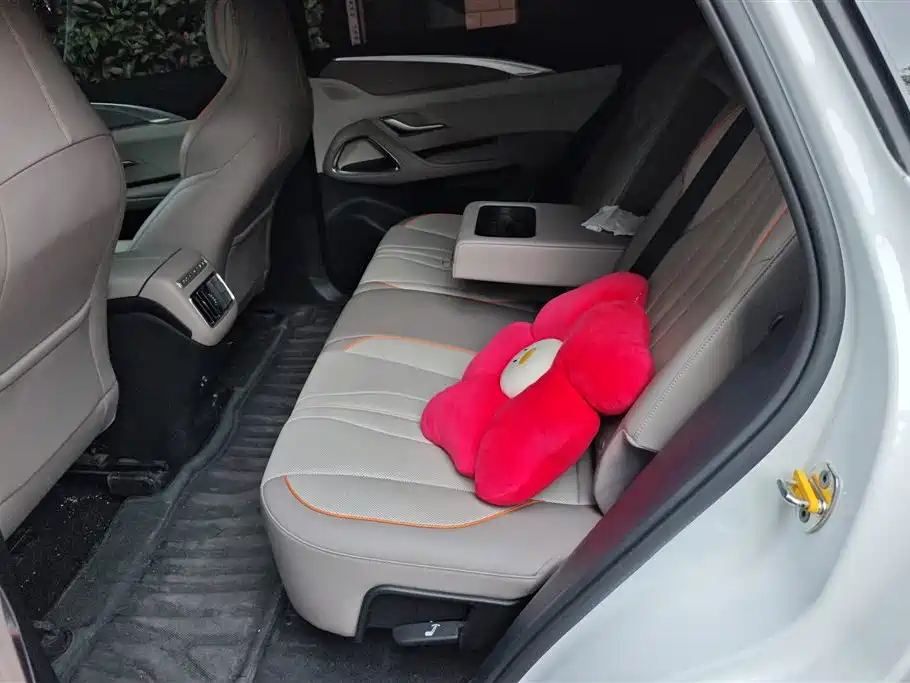 BYD Pro New Energy 2024 — фото 11