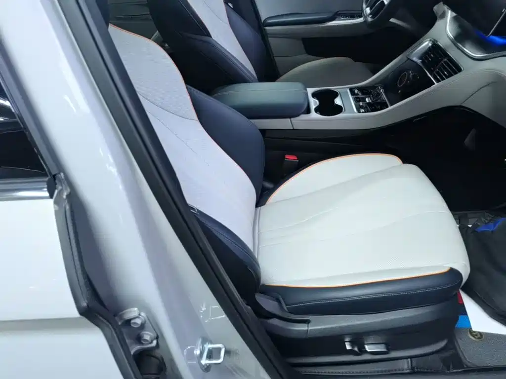 BYD PLUS New Energy 2023 — фото 25