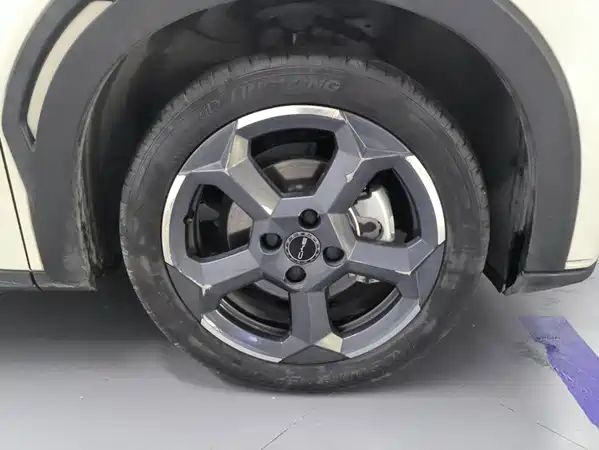 BYD Seagull 2024