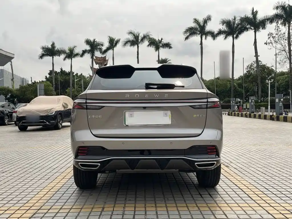 Roewe RX5 New Energy 2023 — фото 19
