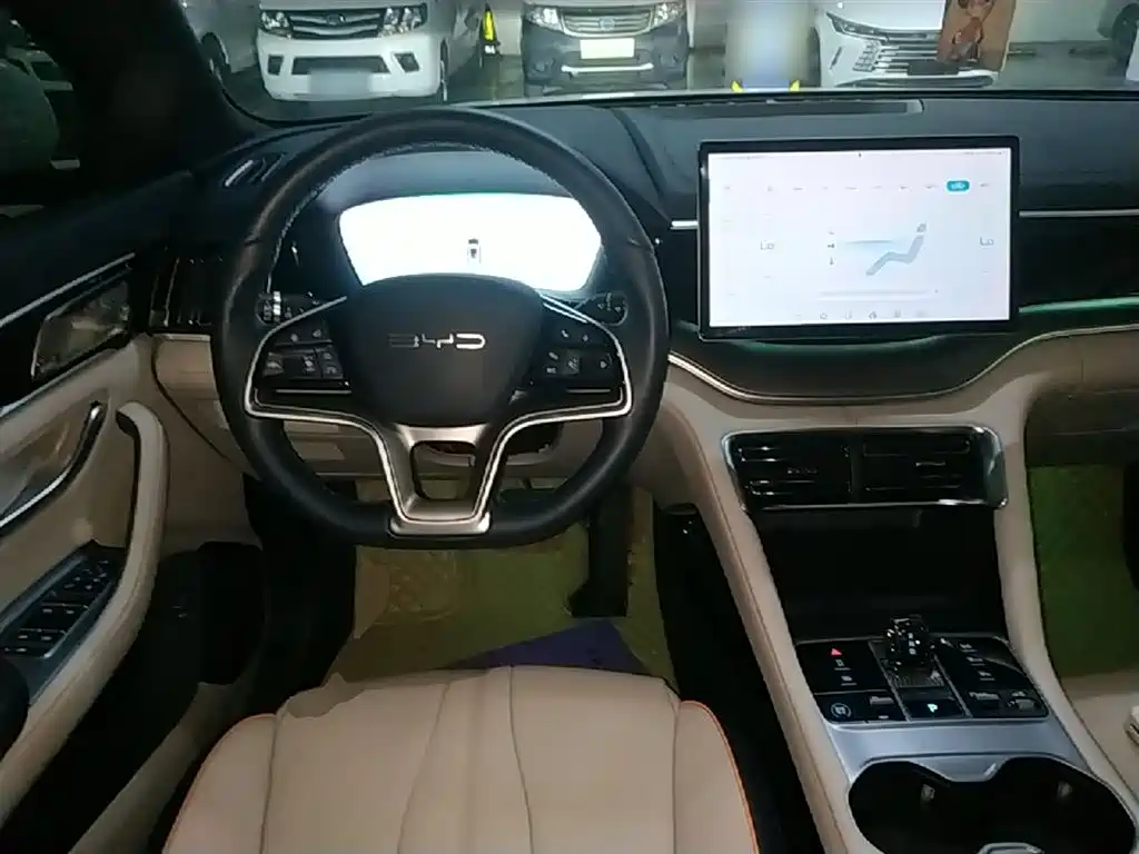 BYD PLUS New Energy 2024 — фото 11