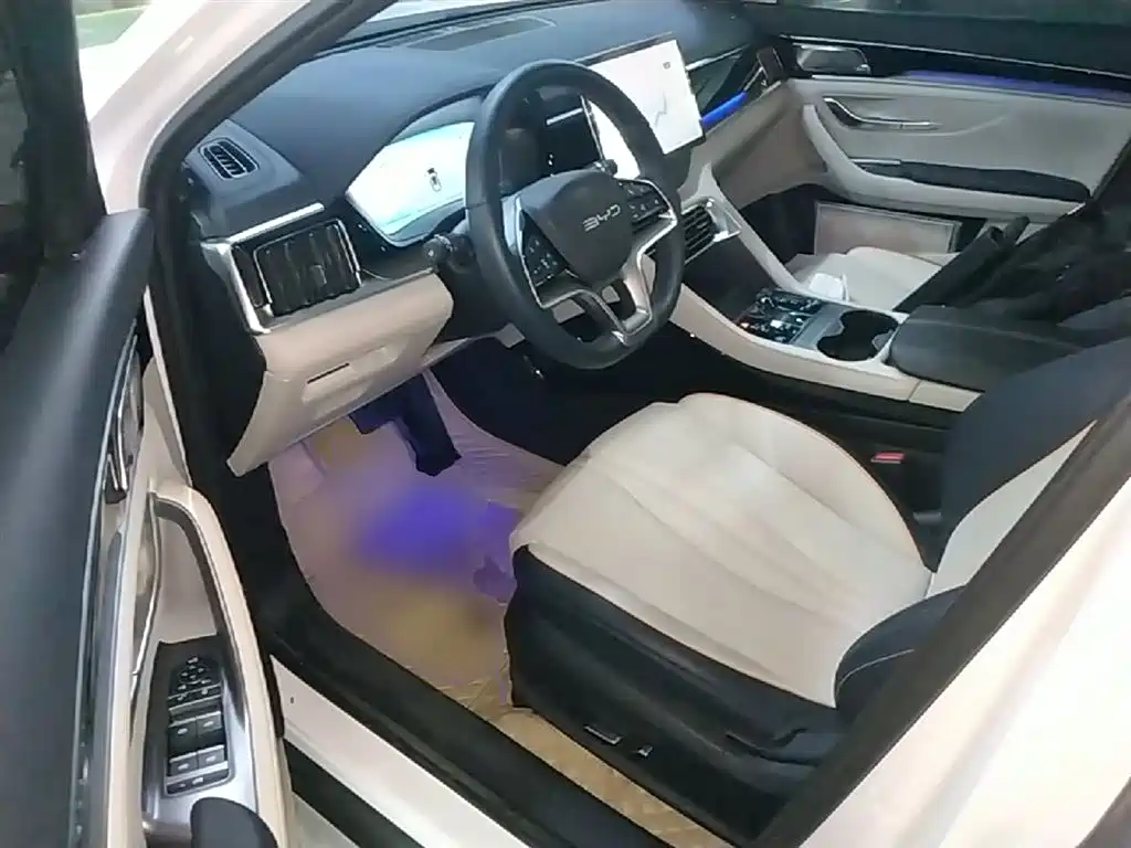BYD PLUS New Energy 2024 — фото 16
