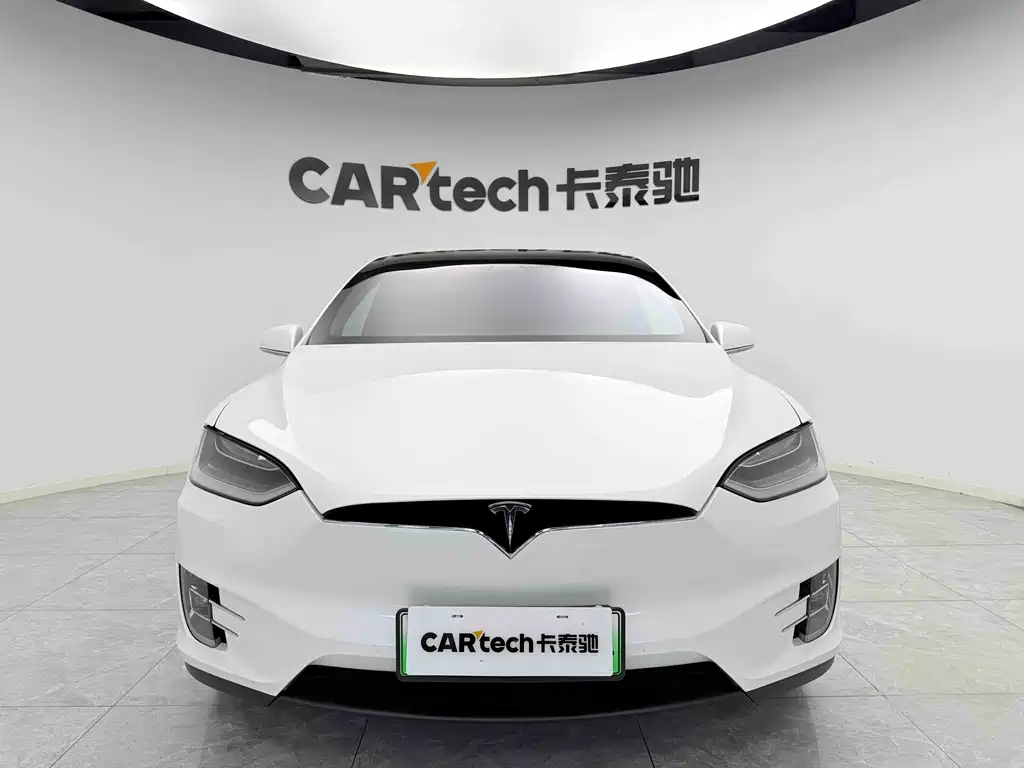 Tesla Model X 2019