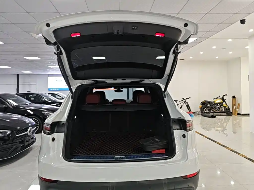 Porsche Cayenne Hybrid 2020 — фото 19
